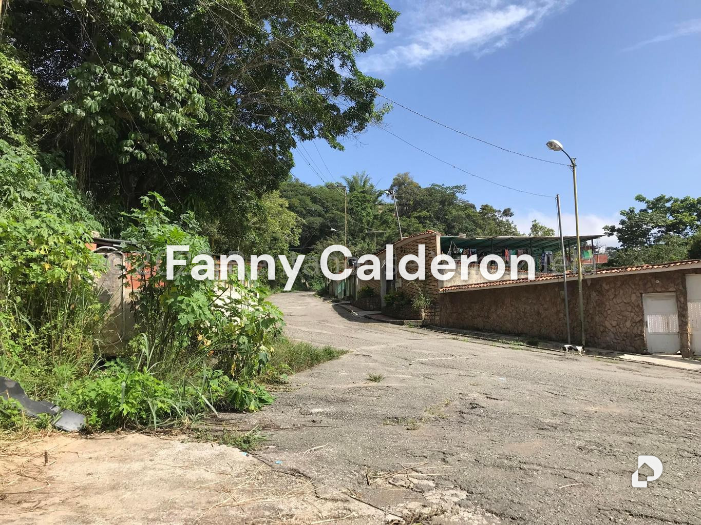 Galpón en Sector Guaracarumbo, Los Teques – 14