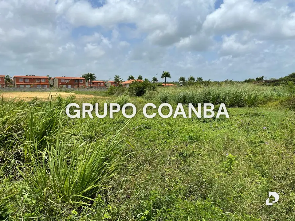 Land in Higuerote, Costa Mirandina – 2