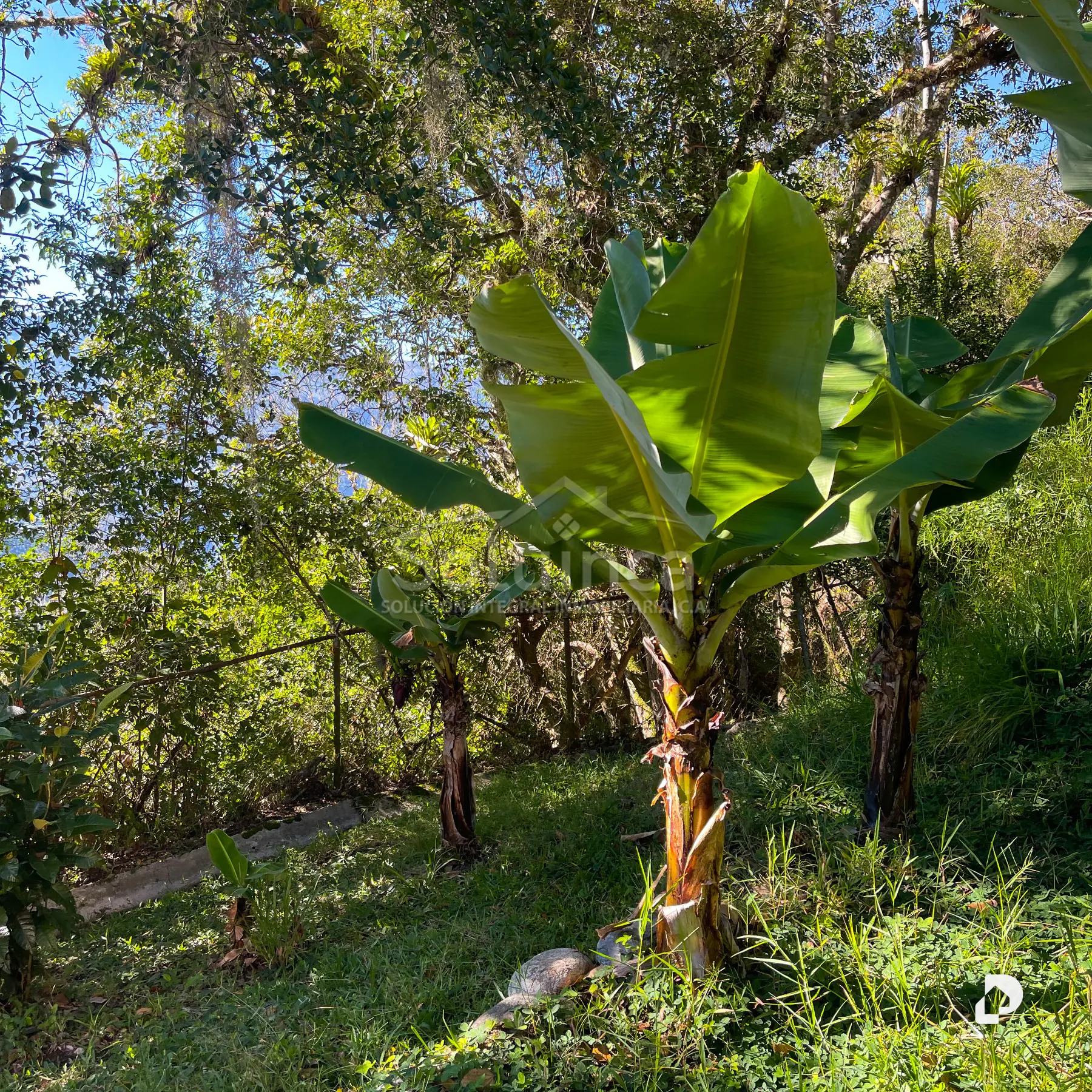 Casa en Parroquia Matríz, Manzano Alto – 23