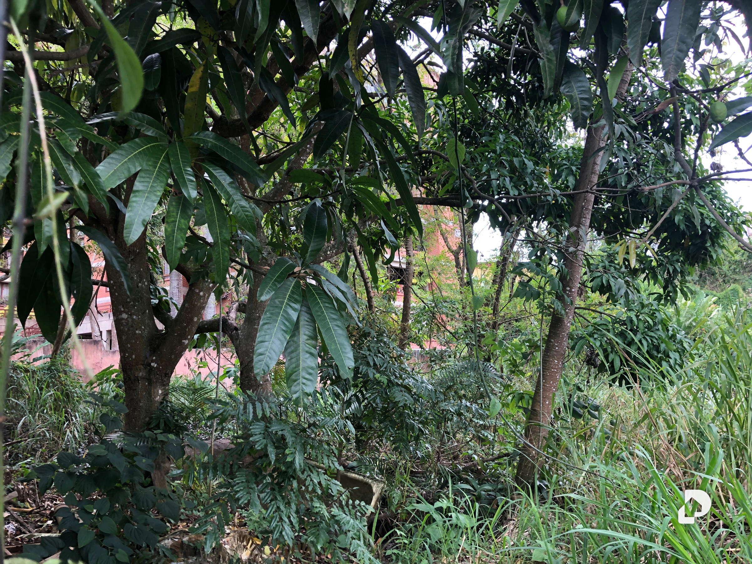 Terreno en La Boyera, Caracas – 2