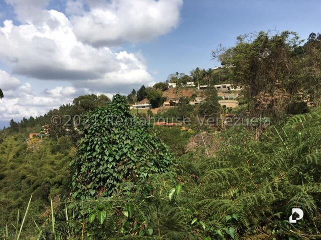 Terreno en Caracas