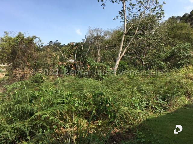 Terreno en Caracas