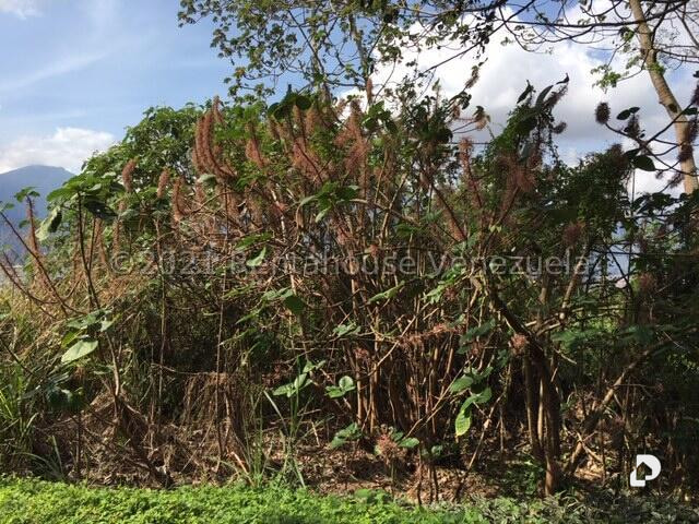 Terreno en Caracas
