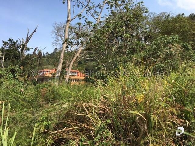 Terreno en Caracas
