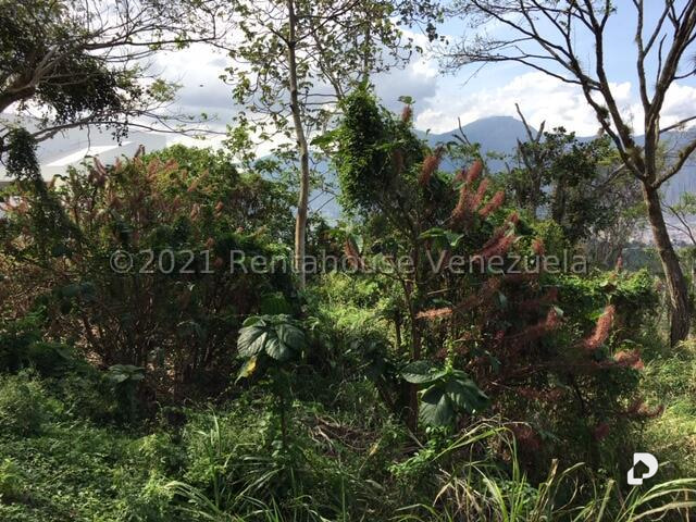 Terreno en Caracas