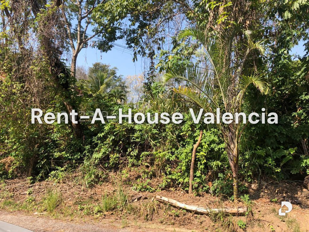 Terreno en Colinas de Guataparo, Valencia – 28