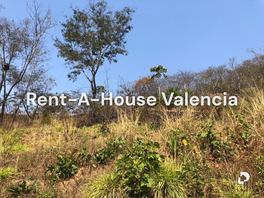 Terreno en Colinas de Guataparo, Valencia – 13