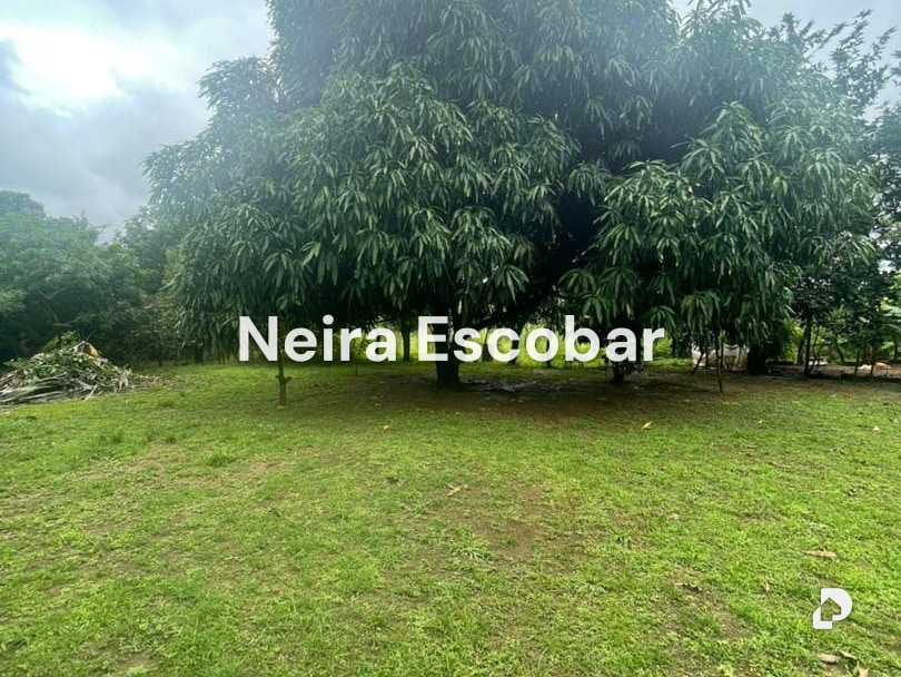 Finca en Tinaquillo – 2