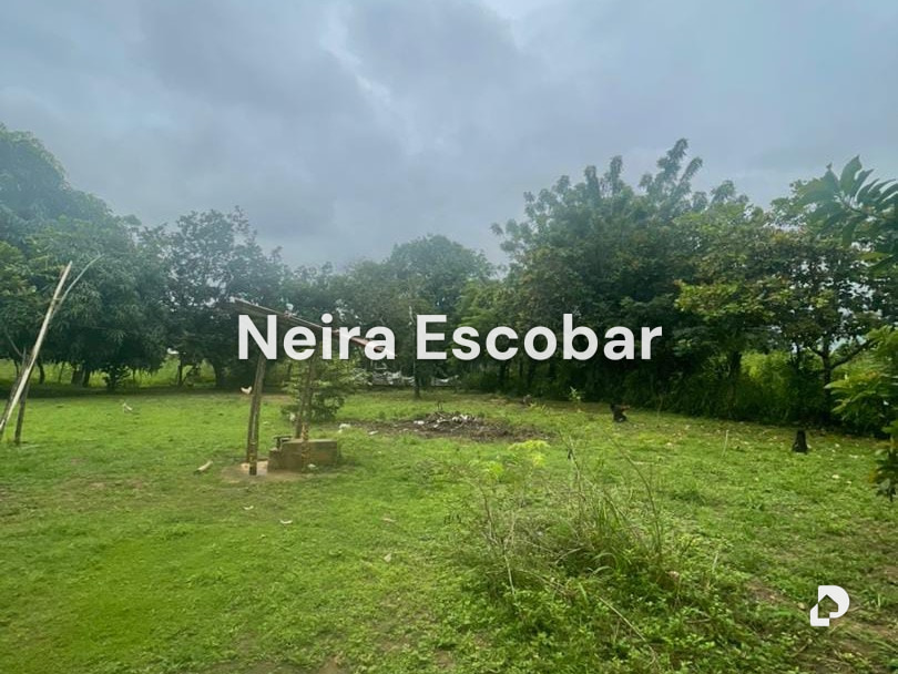 Finca en Tinaquillo – 6