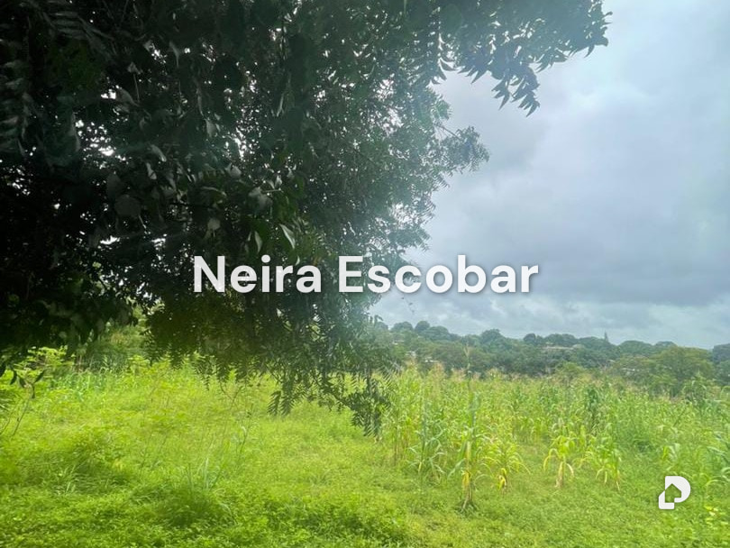 Finca en Tinaquillo – 1