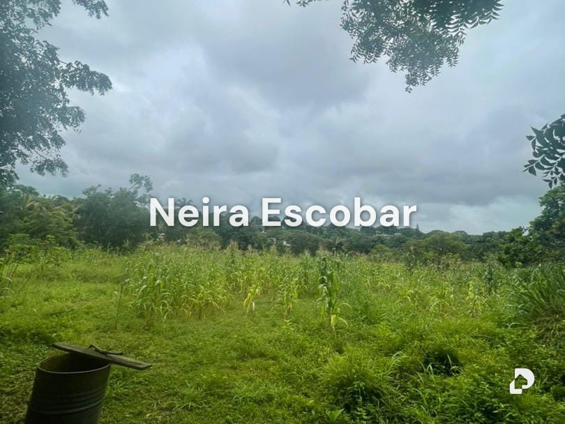 Finca en Tinaquillo – 5