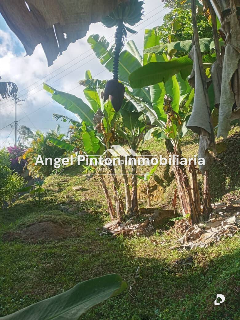 House in San Diego de Los Altos, Los Teques – 8