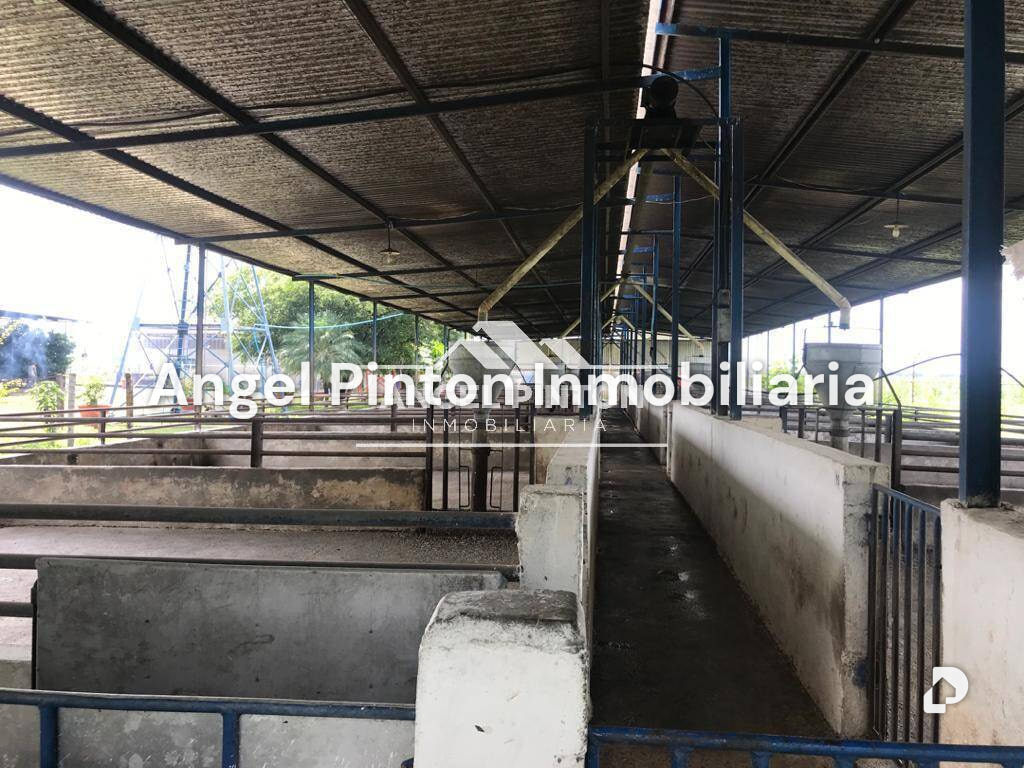 Local comercial en Acarigua – 4