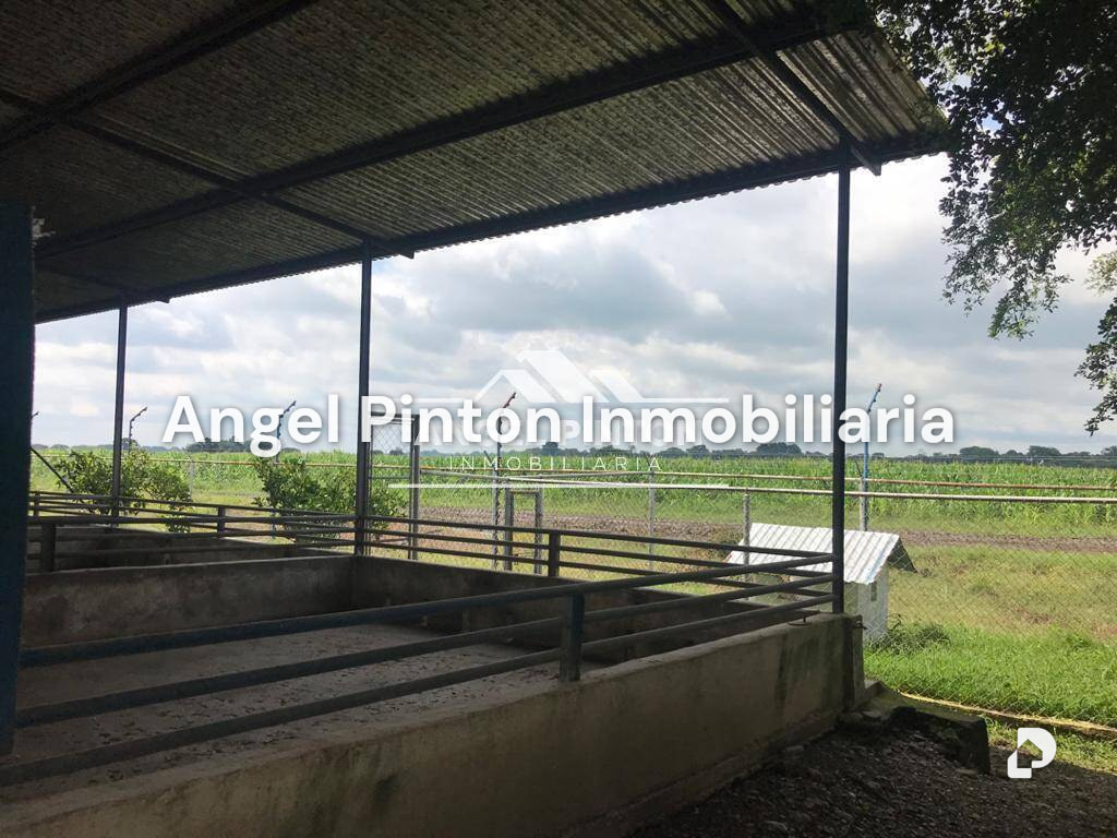 Local comercial en Acarigua – 5