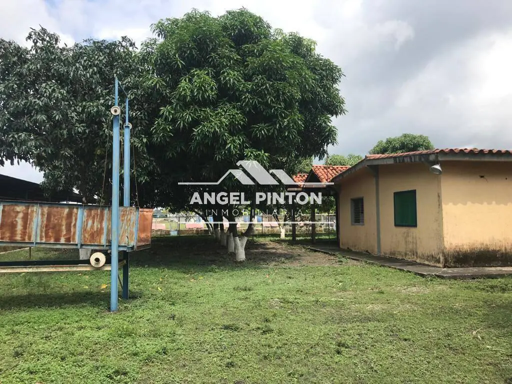 Local comercial en Acarigua - 1