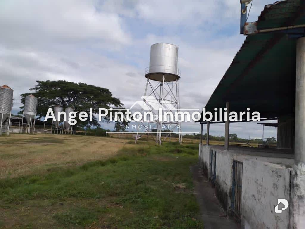 Local comercial en Acarigua – 3