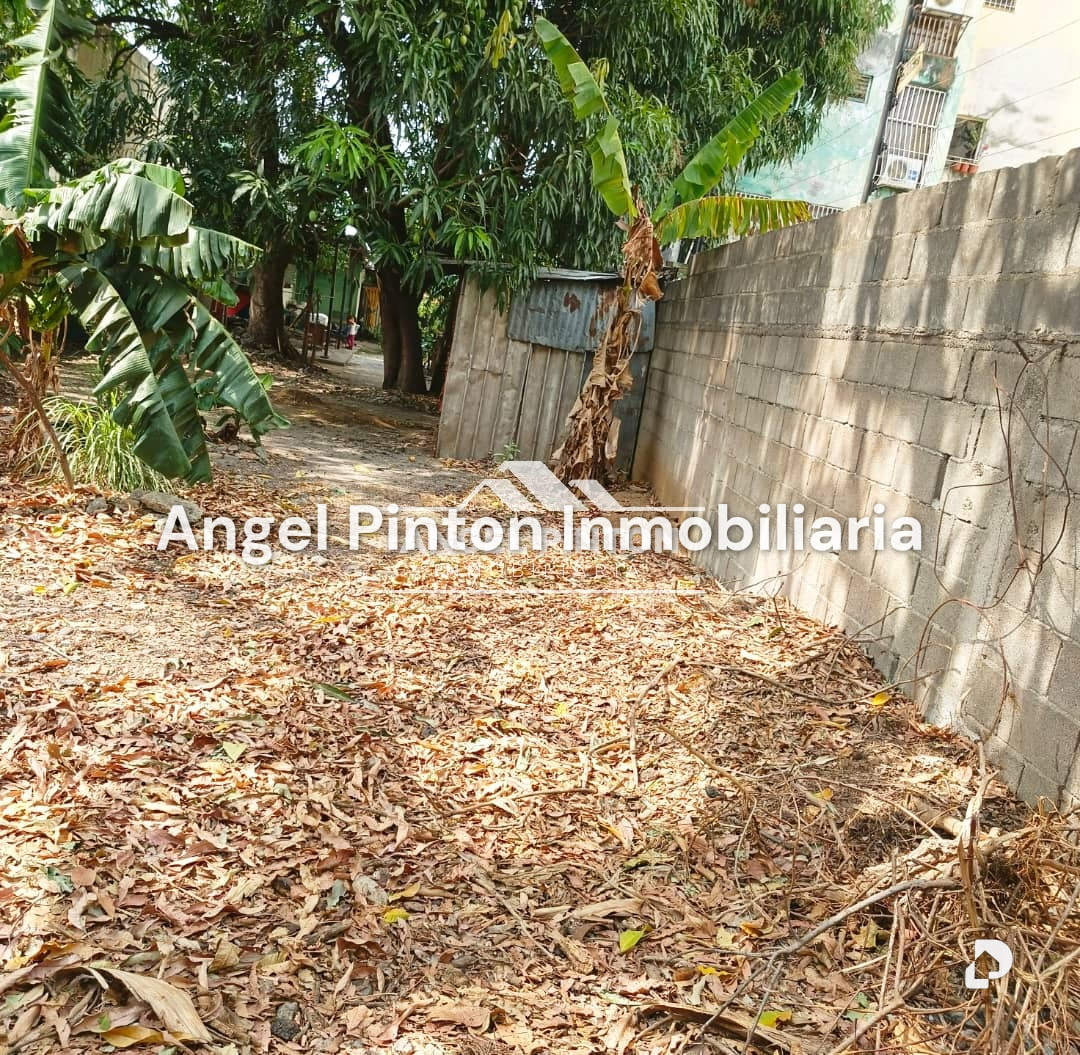 Terreno en Centro, Acarigua – 7