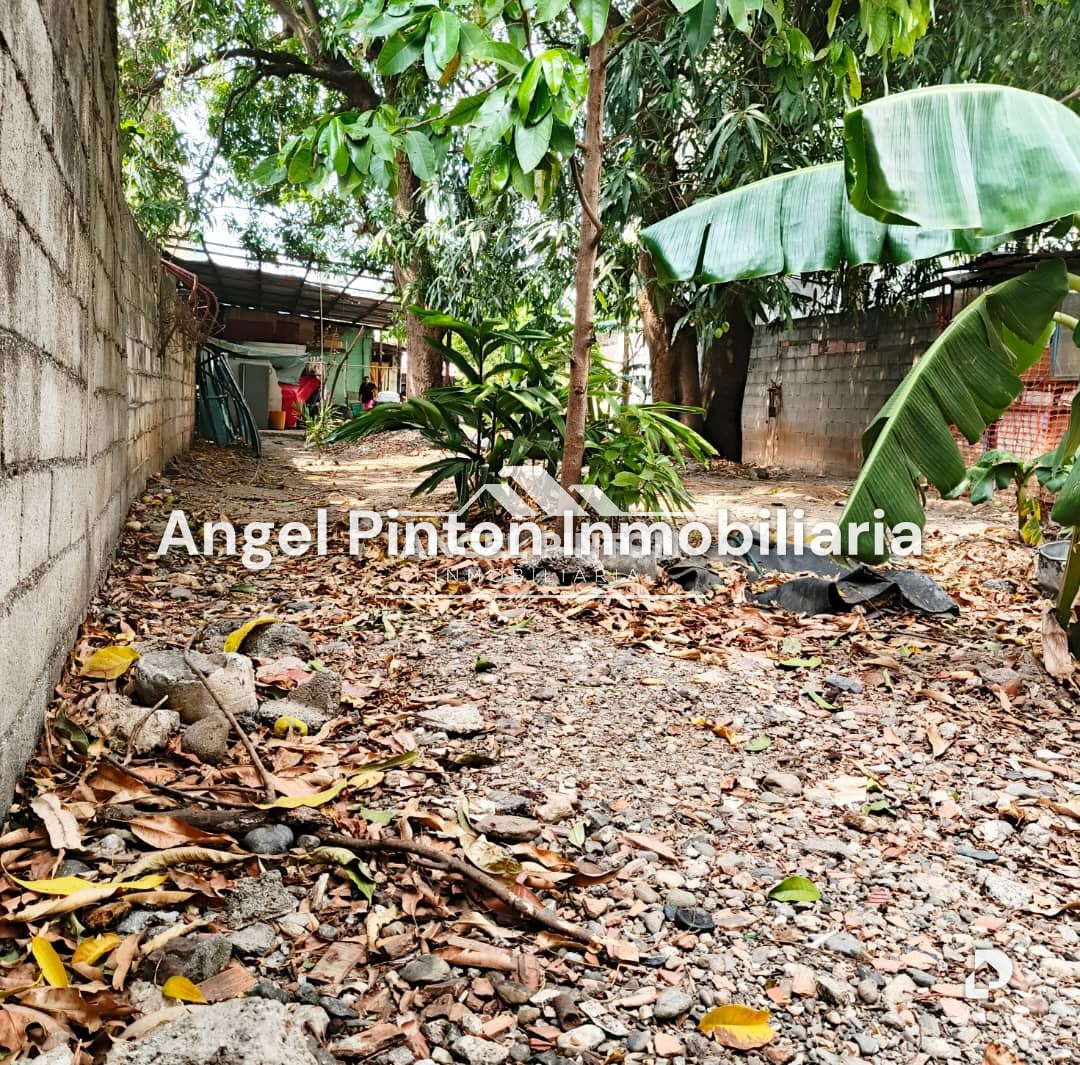 Terreno en Centro, Acarigua – 6