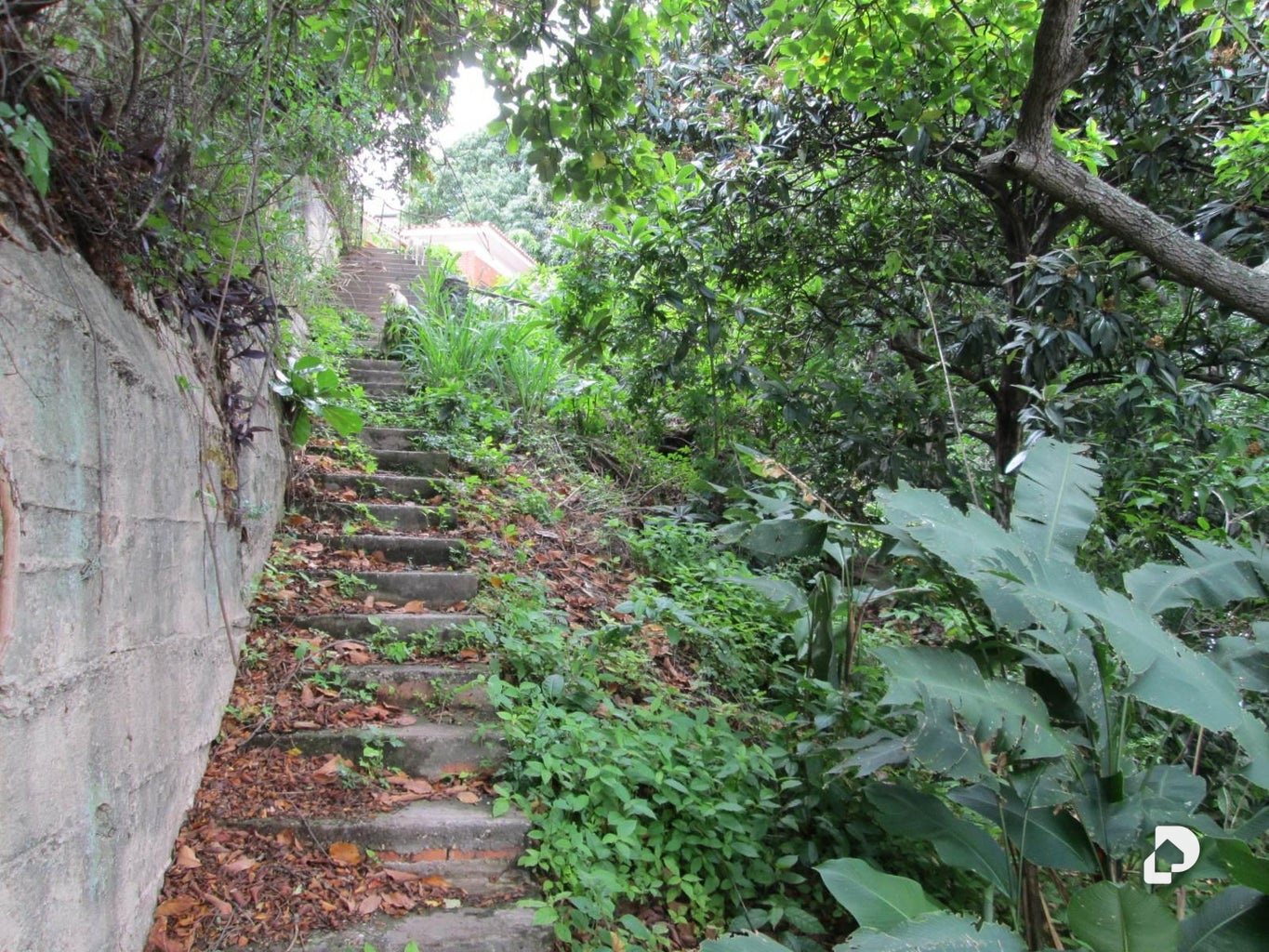 Terreno en Los Caobos, Caracas – 13