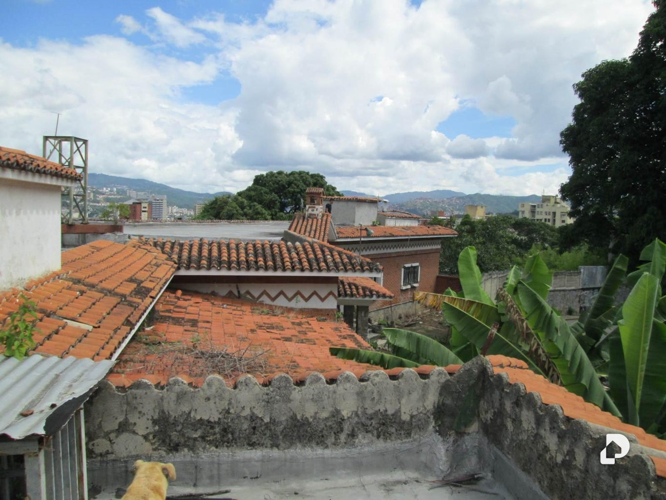 Terreno en Los Caobos, Caracas – 15