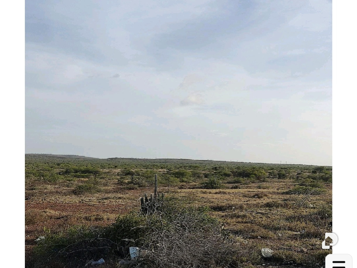 Land in Los Bagres, Díaz – 7