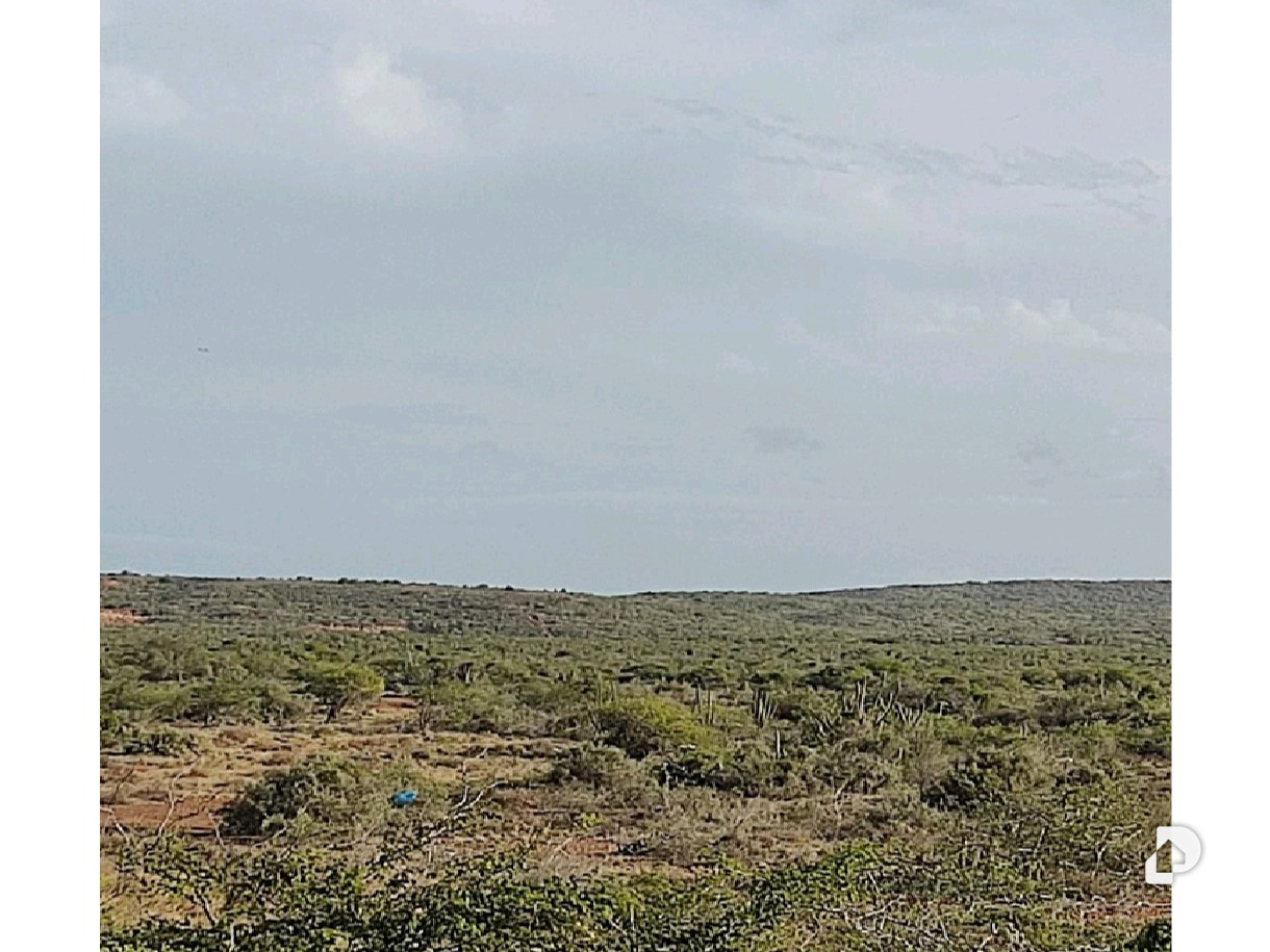 Land in Los Bagres, Díaz – 5