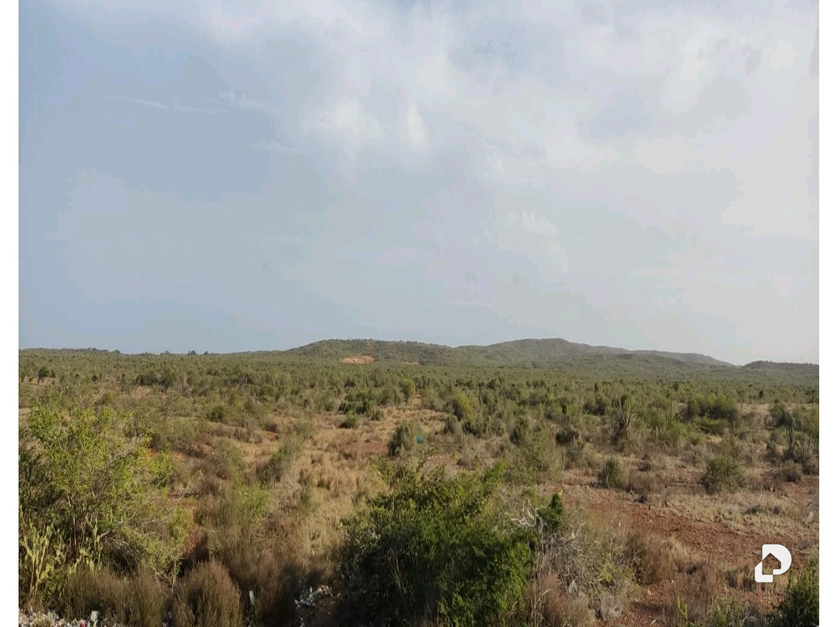 Land in Los Bagres, Díaz – 4