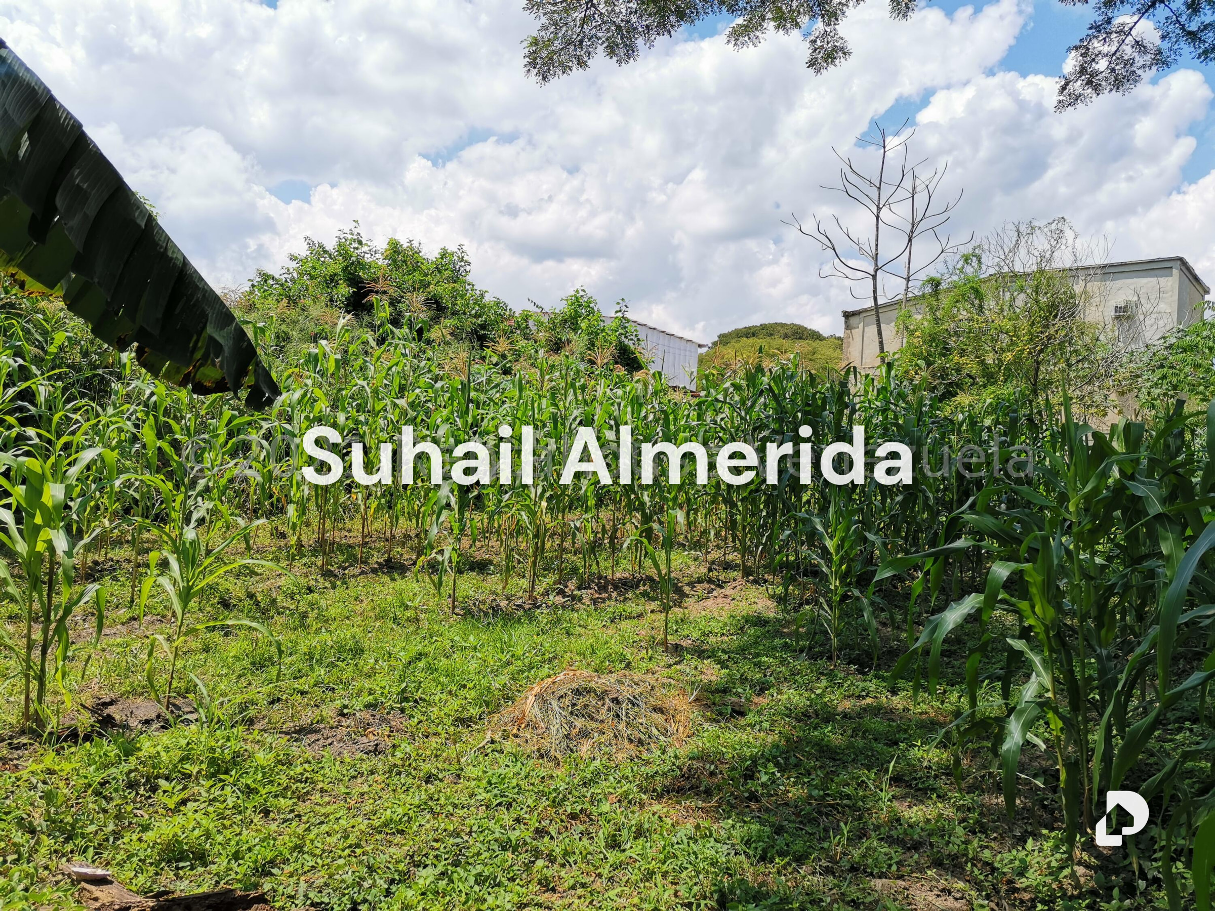 Terreno en Pueblo de San Diego, San Diego – 7