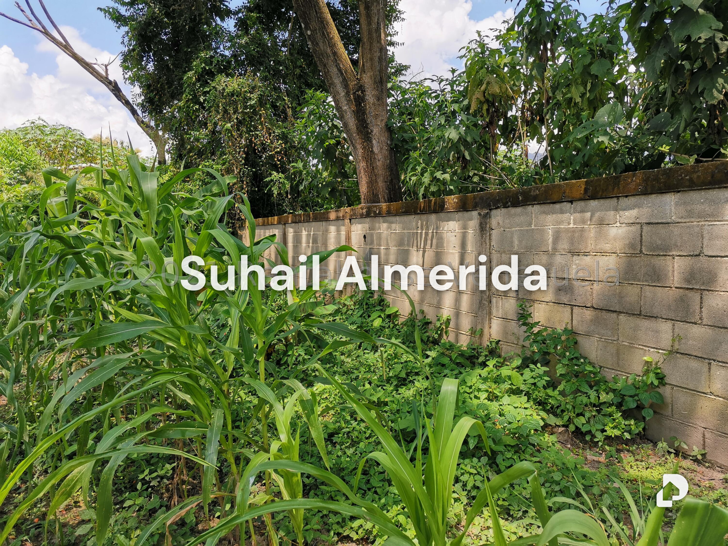 Terreno en Pueblo de San Diego, San Diego – 6
