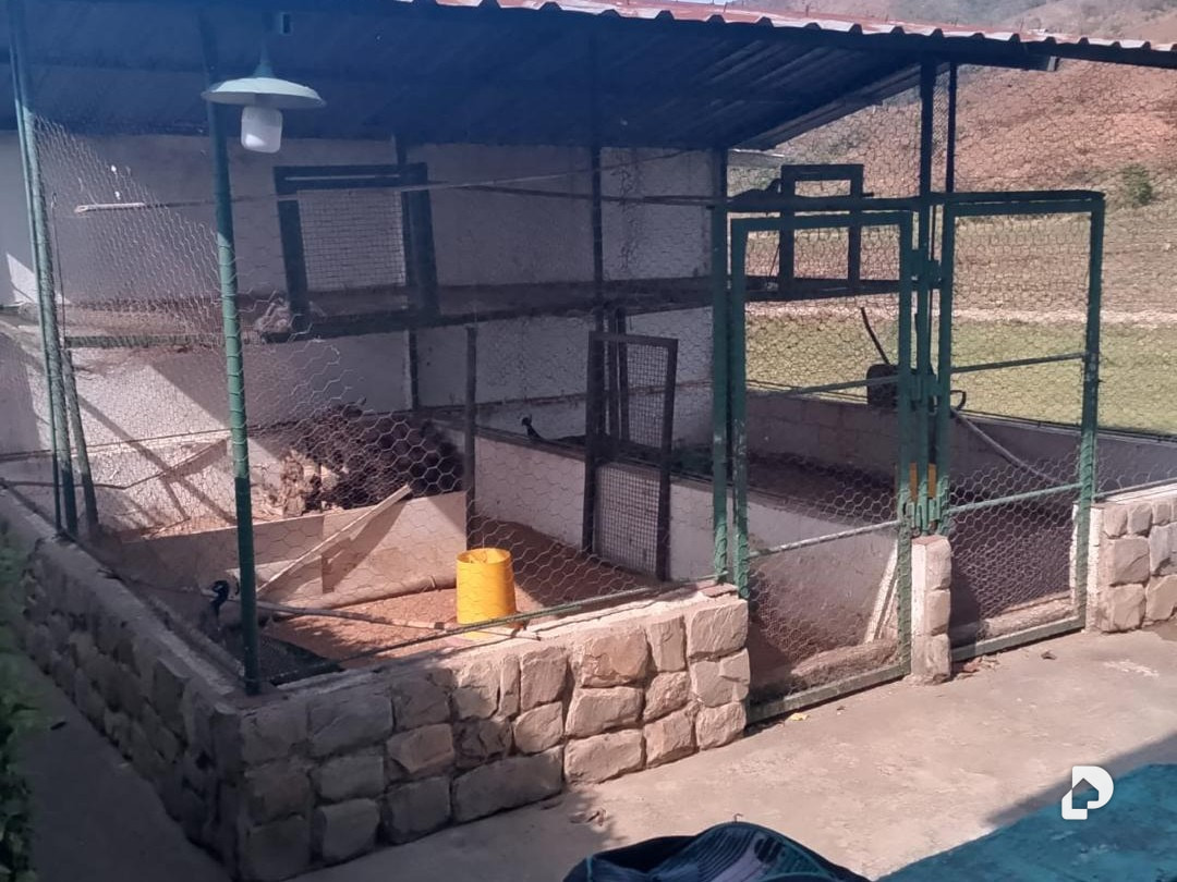Finca en Chirgua – 3