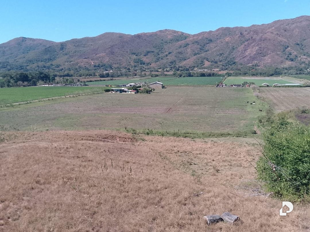 Finca en Chirgua – 5