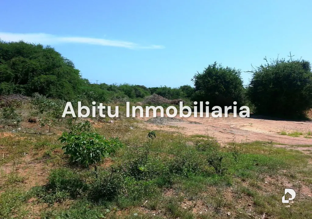 Land in La Mira, Margarita (noreste) – 1