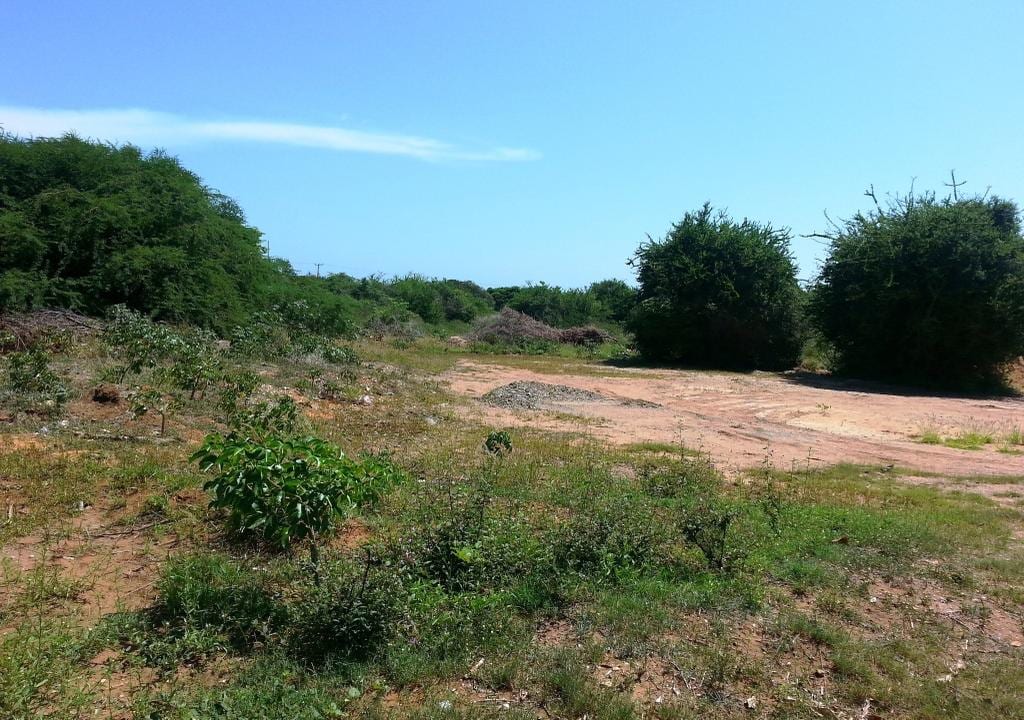 Terreno en La Mira, Margarita (noreste) - 1