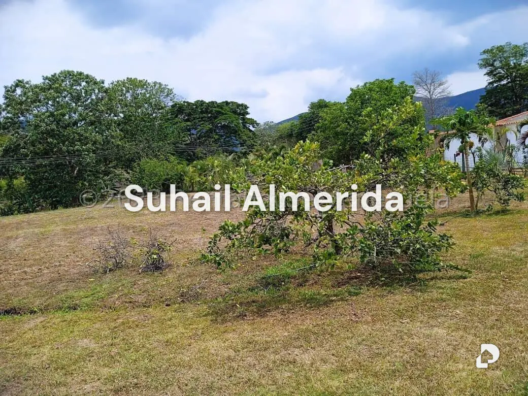 Terreno en Bejuma