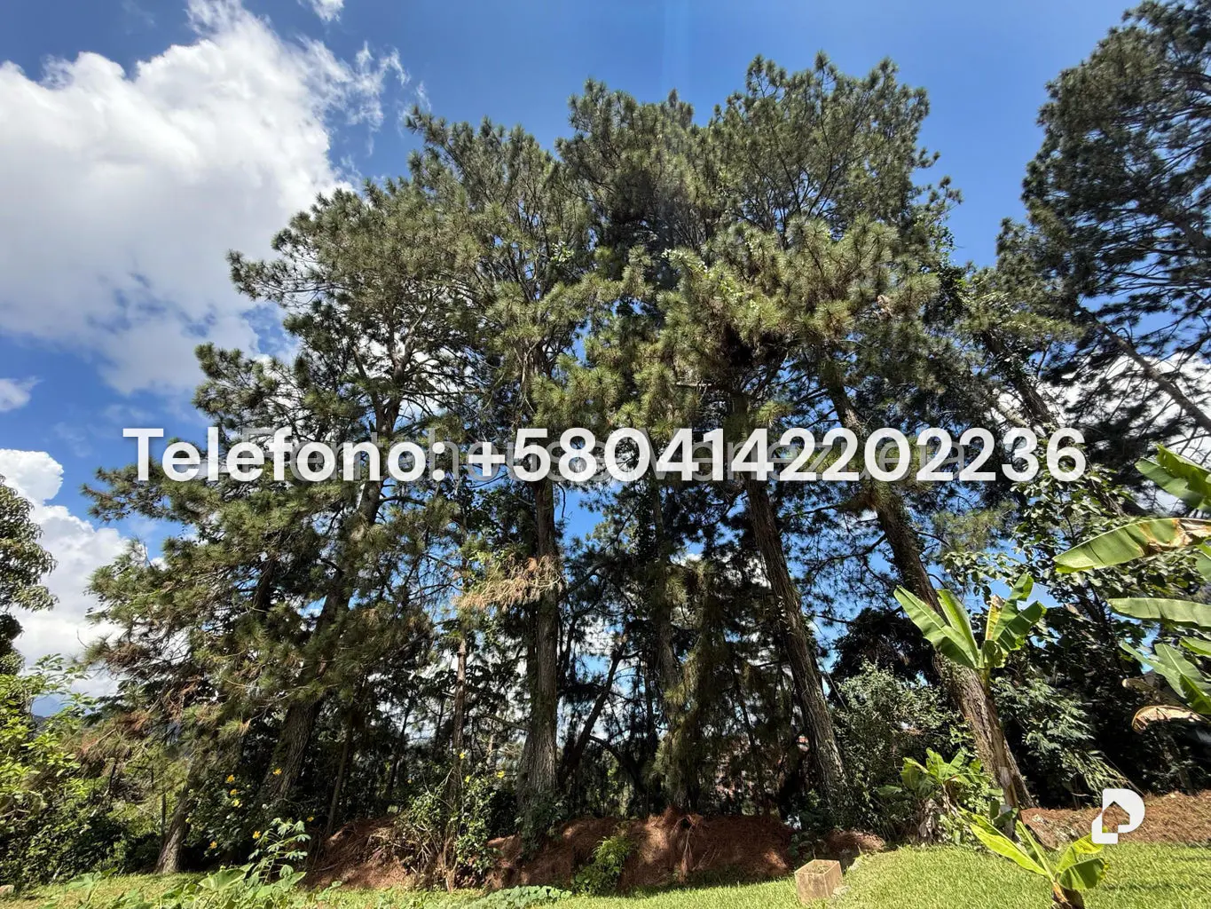 Casa en Oripoto, Caracas – 19