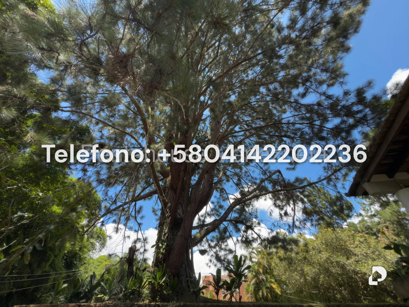 Casa en Oripoto, Caracas – 6
