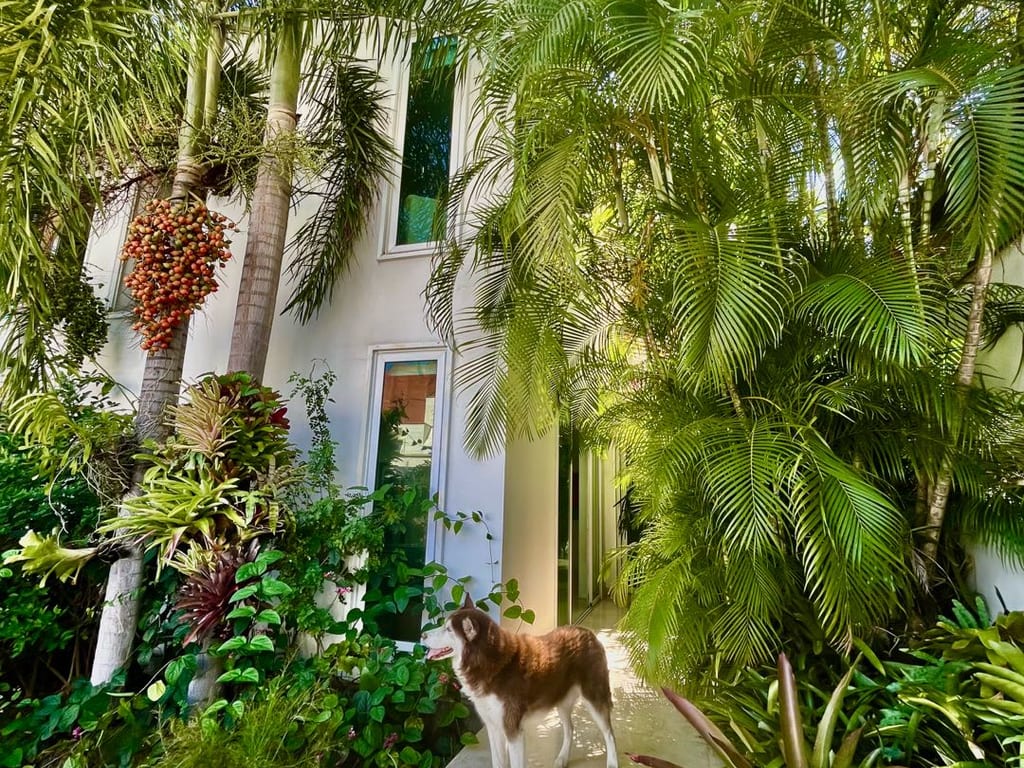 Casa en Sebucan, Caracas - 1