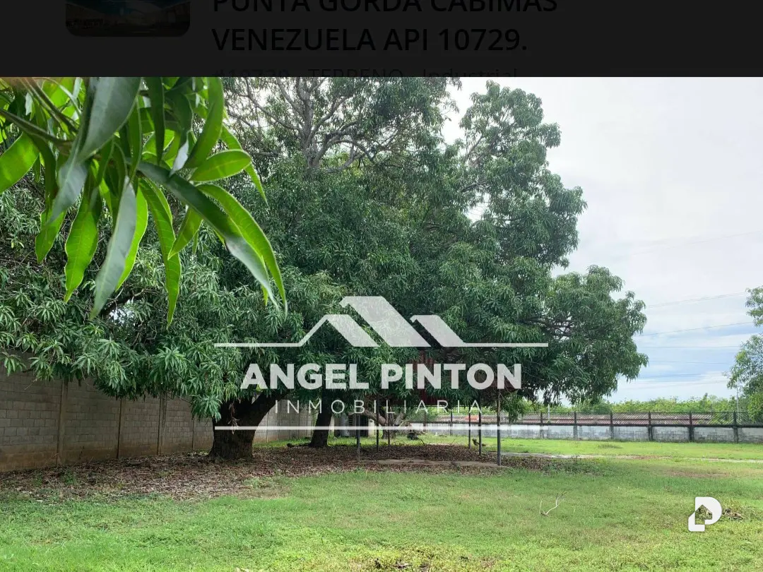 Galpón en Punta Gorda – 10