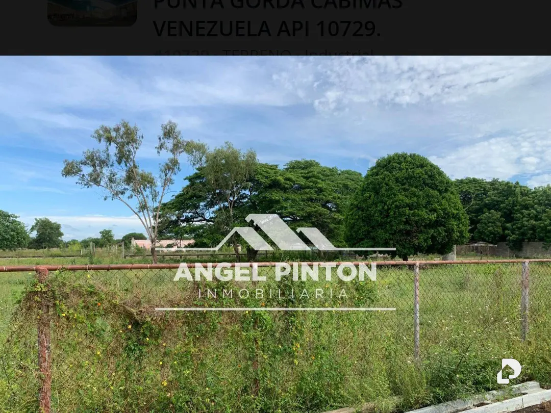Galpón en Punta Gorda – 5