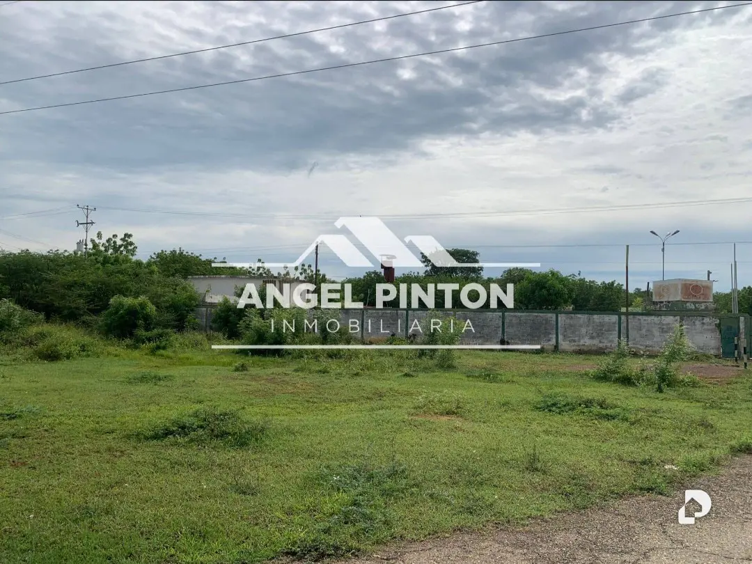 Galpón en Punta Gorda – 3