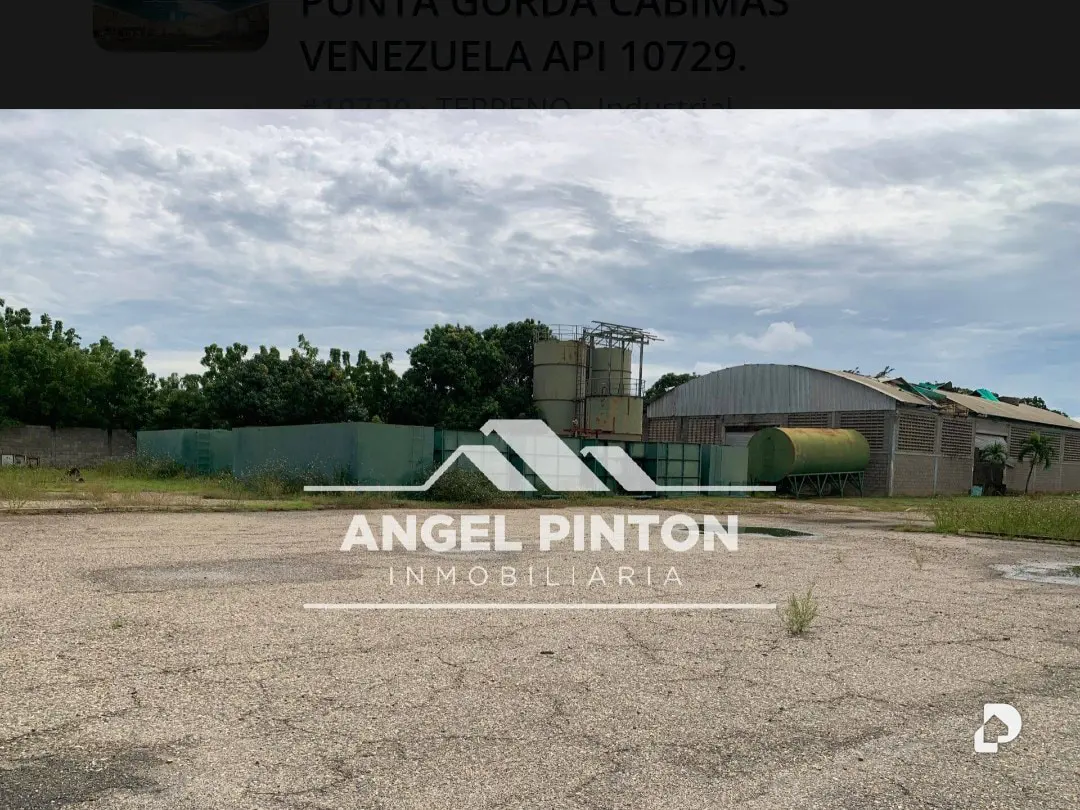 Galpón en Punta Gorda – 7