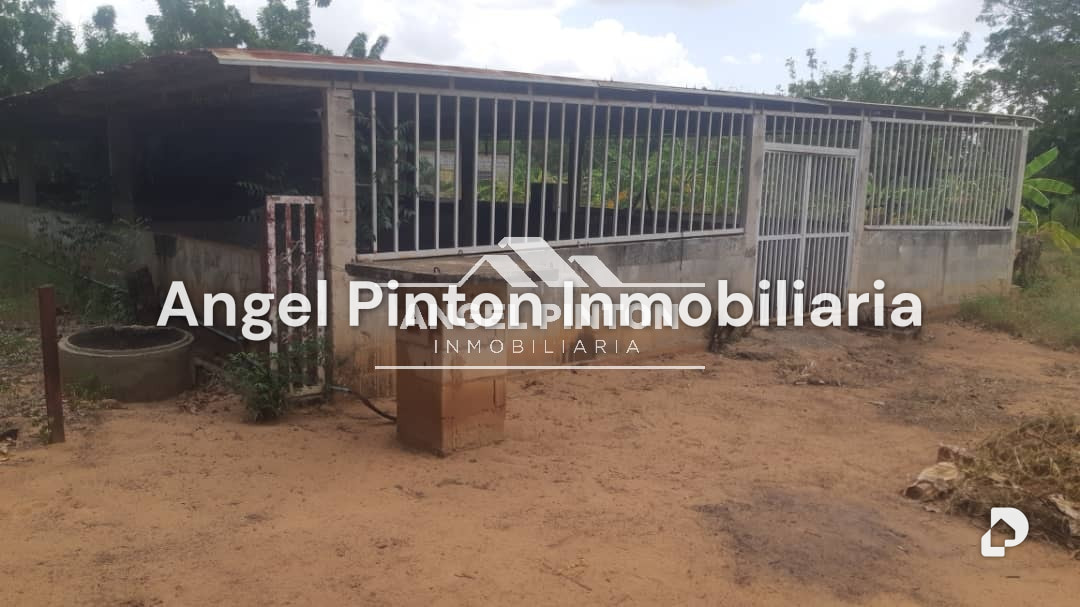 Finca en El Cardón, Maracaibo – 49