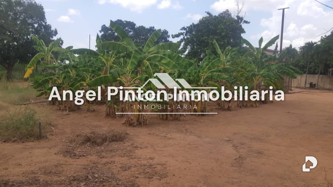 Finca en El Cardón, Maracaibo – 45
