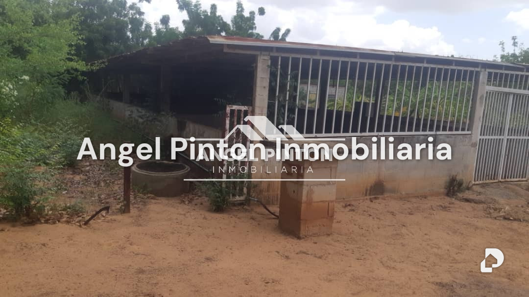 Finca en El Cardón, Maracaibo – 44