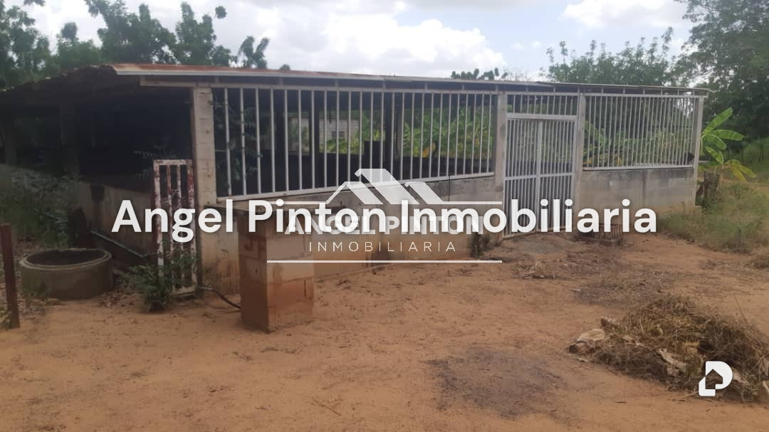 Finca en El Cardón, Maracaibo – 50