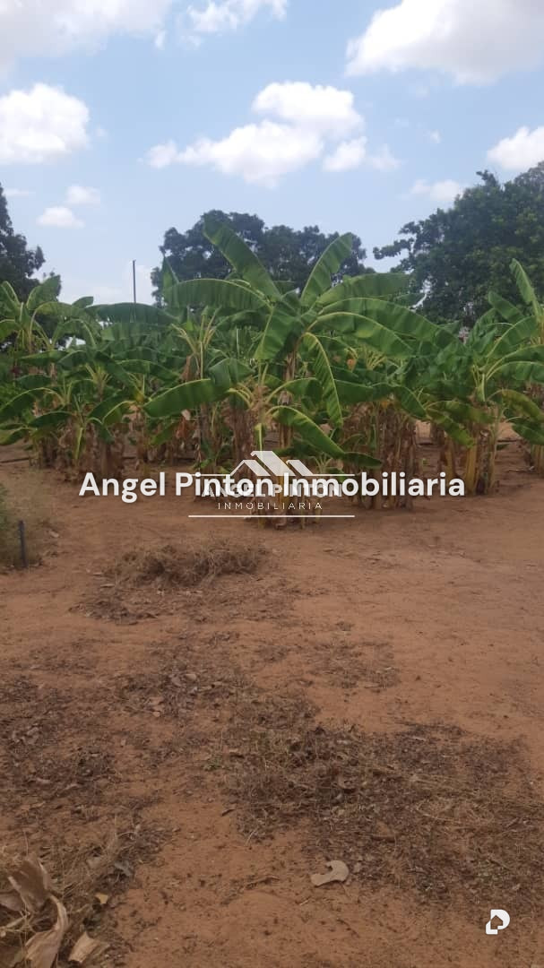 Finca en El Cardón, Maracaibo – 51