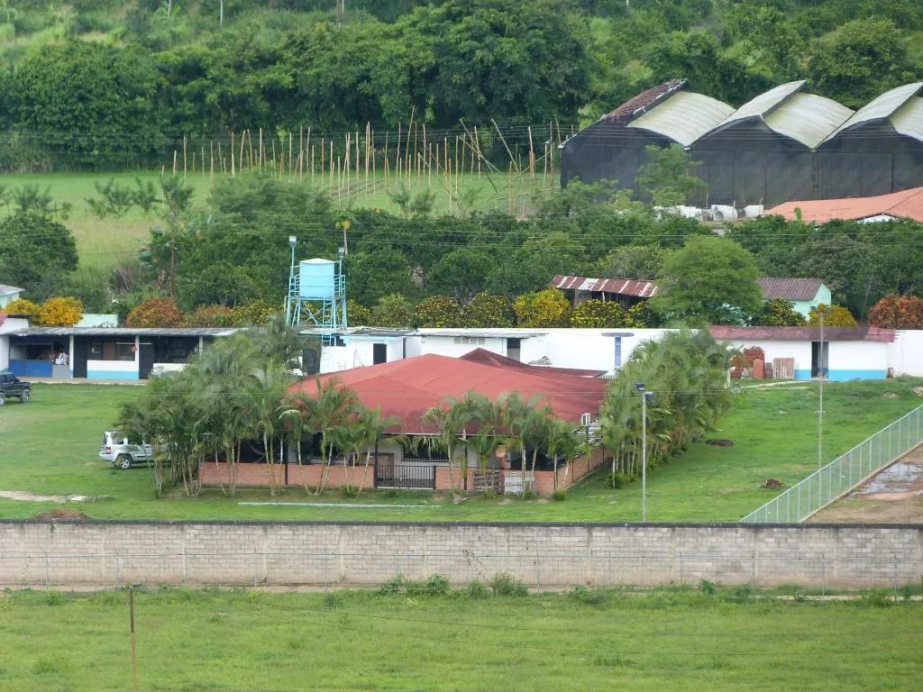 Finca en Montalbán - 1