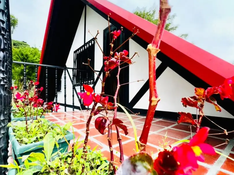 Casa en Colonia Tovar - 1