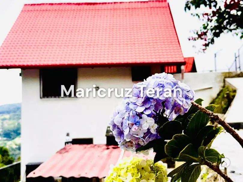 Casa en Colonia Tovar – 15