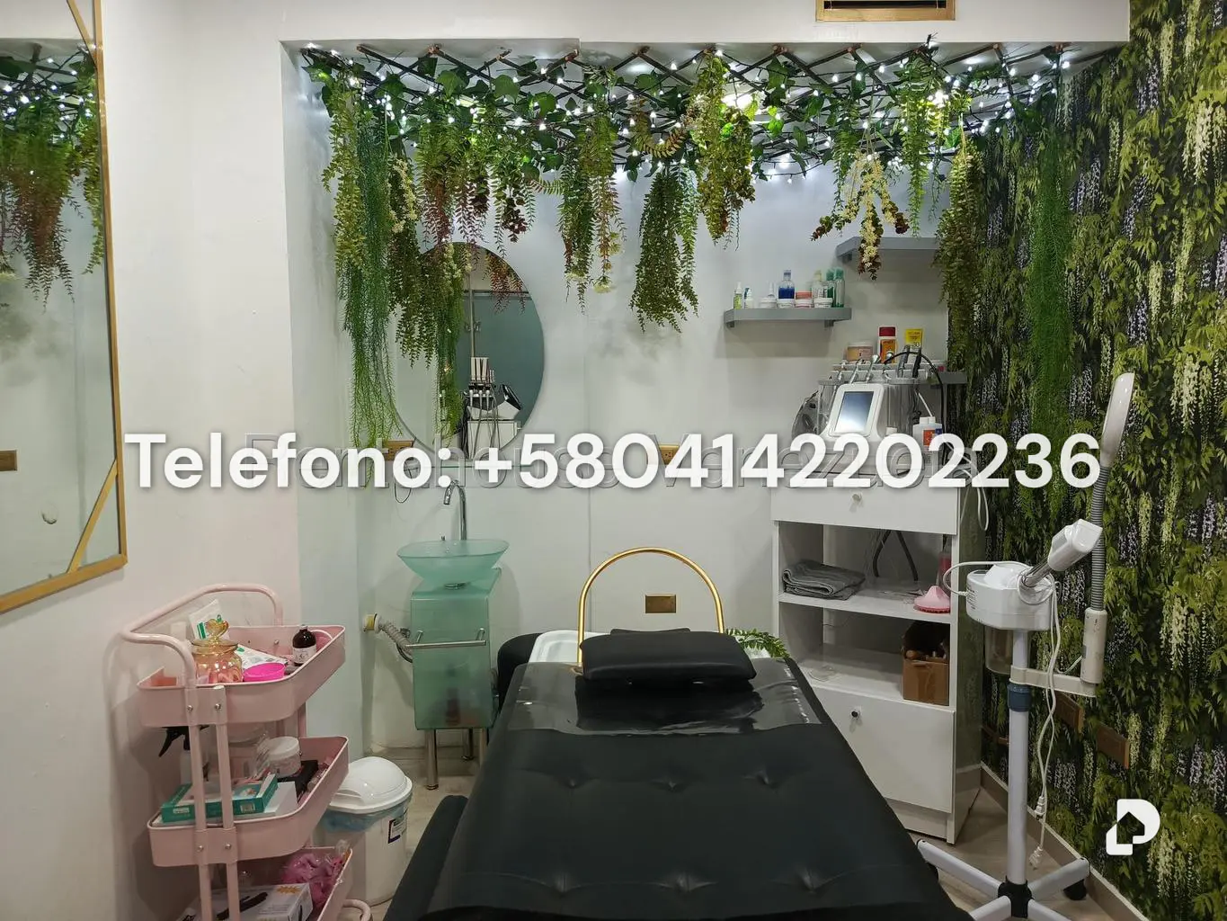 Local comercial en Las Mercedes, Caracas – 24